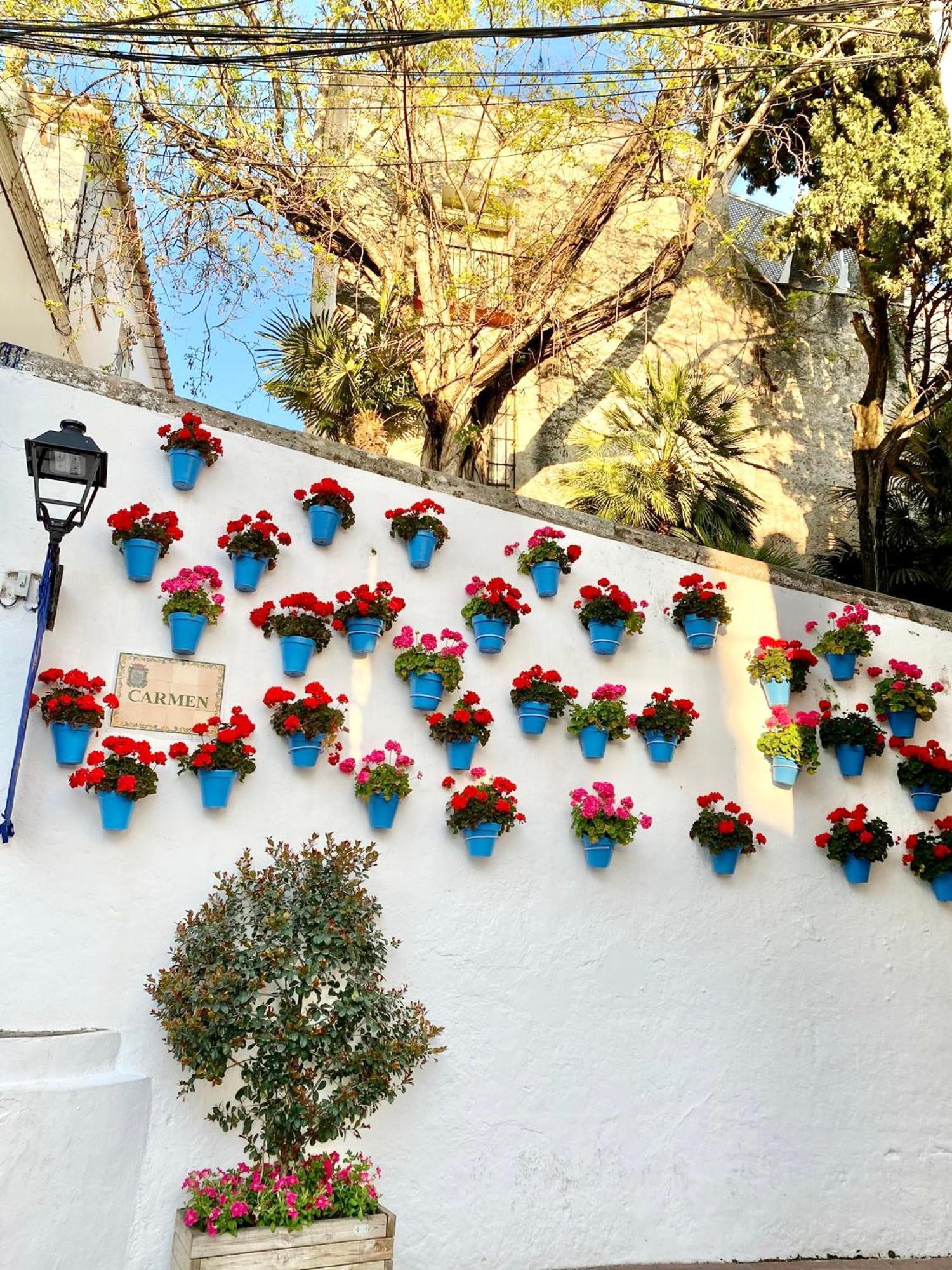 Studio Oasis In 2º Line Beach In The Centre Of Marbella - Eaw Homes מראה חיצוני תמונה
